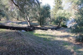 Οικόπεδο 4.576 τ.μ. για πώληση, Ν. Κέρκυρας, Κέρκυρα-thumb-5