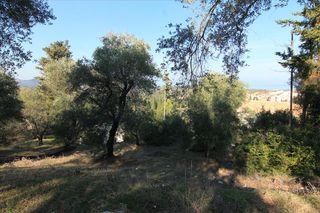 Οικόπεδο 4.576 τ.μ. για πώληση, Ν. Κέρκυρας, Κέρκυρα-thumb-4