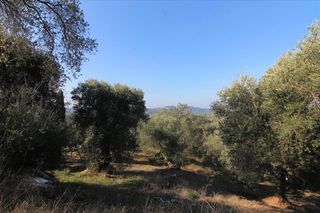 Οικόπεδο 4.576 τ.μ. για πώληση, Ν. Κέρκυρας, Κέρκυρα-thumb-6