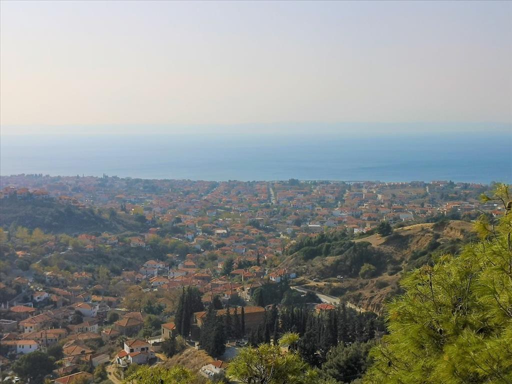 Οικόπεδο 5.000 τ.μ. προς πώληση, Νικήτη