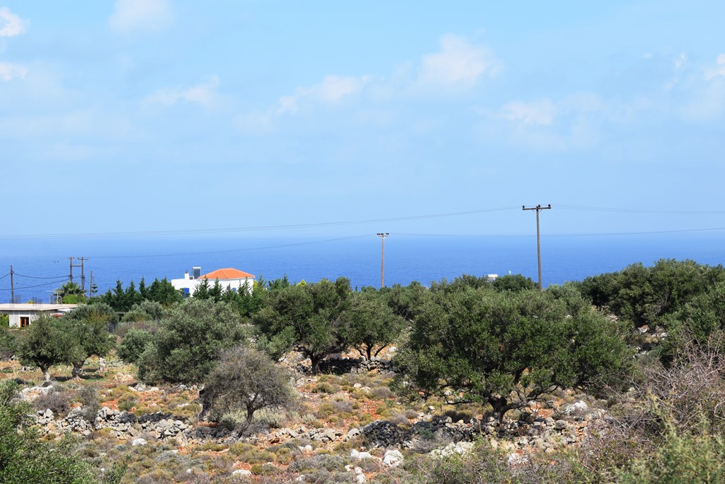 Οικόπεδο 2.970 τ.μ. προς πώληση, Κόκκινο Χωριό