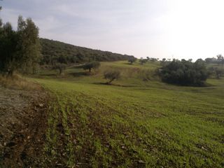 Οικόπεδο 45.000 τ.μ. για πώληση