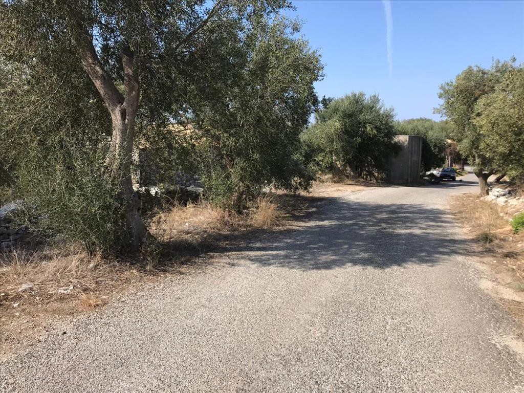 Οικόπεδο 6.000 τ.μ. προς πώληση, Θινάλιο