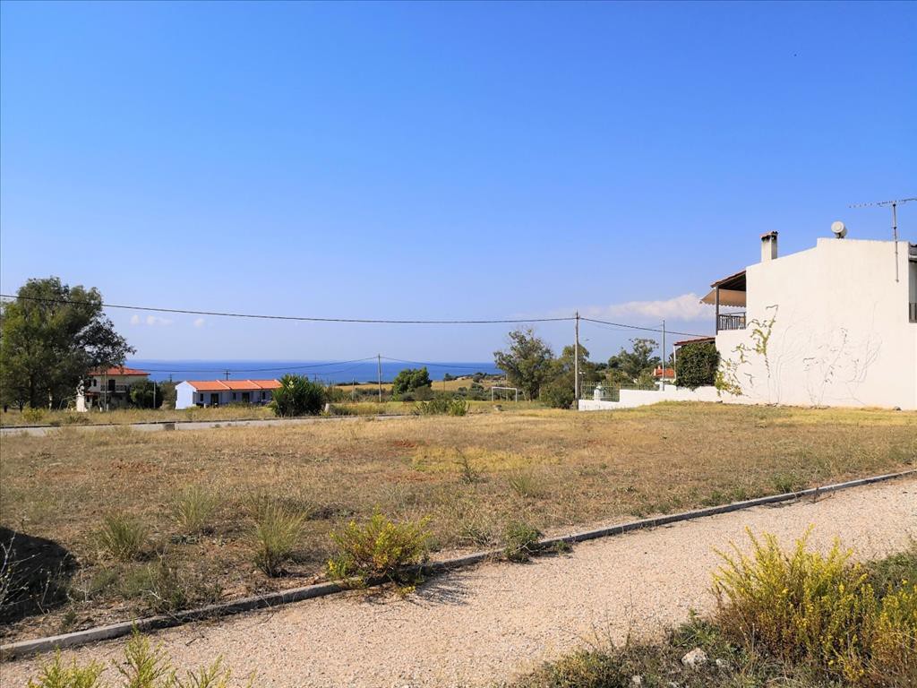 Οικόπεδο 30.600 τ.μ. προς πώληση, Μεταμόρφωση Ορμύλιας