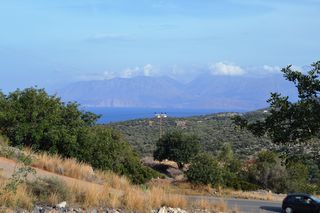 Οικόπεδο 12.500 τ.μ. για πώληση