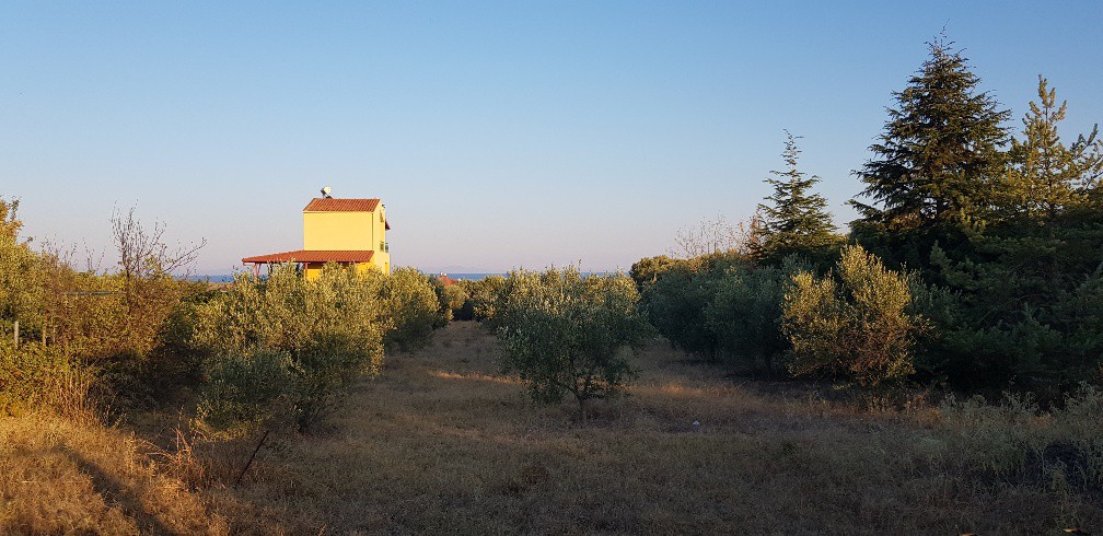 Οικόπεδο 2.250 τ.μ. προς πώληση, Άγιος Μάμας Μουδανιών
