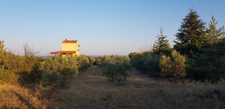 Οικόπεδο 2.250 τ.μ. προς πώληση