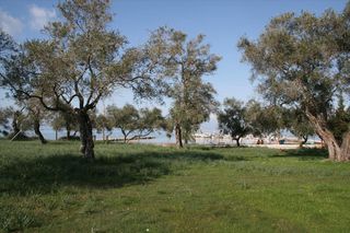 Οικόπεδο 21.083 τ.μ. για πώληση