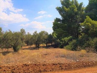 Οικόπεδο 15.120 τ.μ. για πώληση