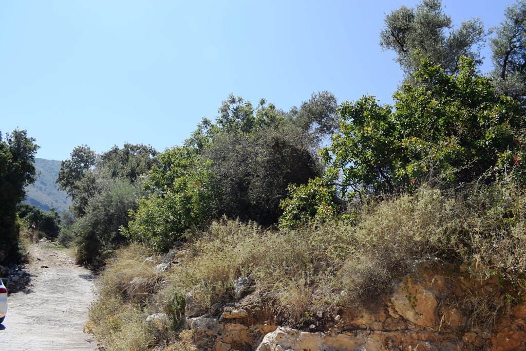 Οικόπεδο 11.000 τ.μ. πρός πώληση, Ν. Ρεθύμνου, Ρέθυμνο