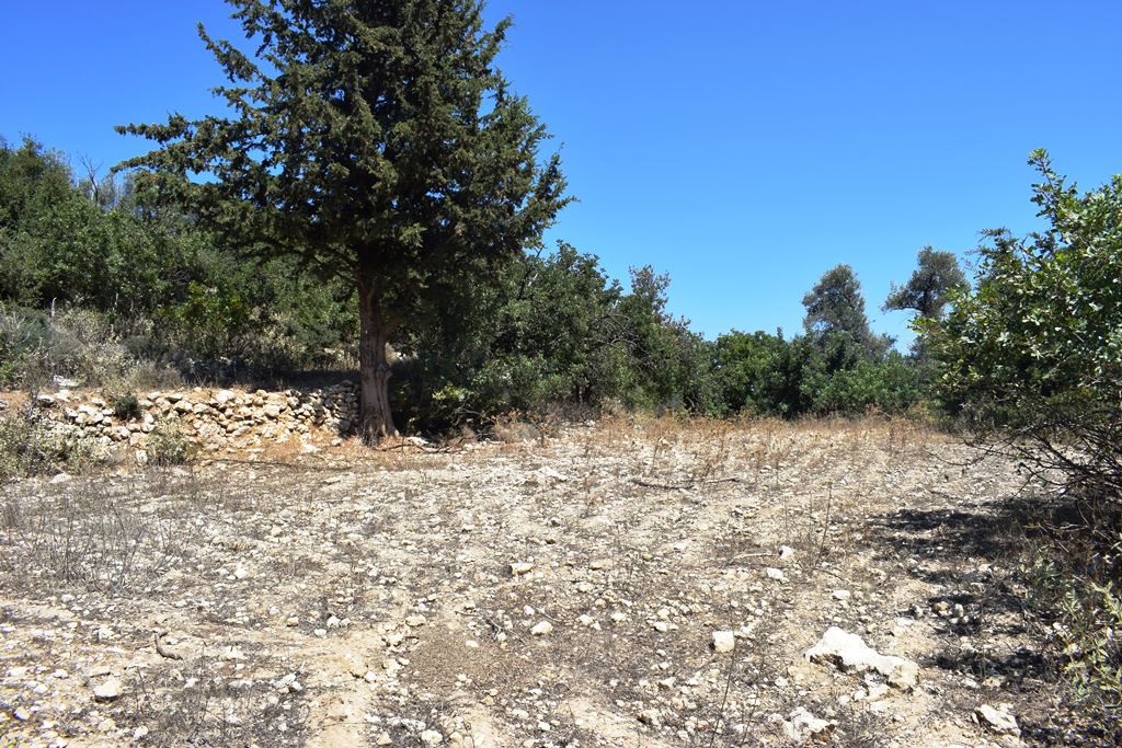 Οικόπεδο 11.000 τ.μ. πρός πώληση, Ν. Ρεθύμνου, Ρέθυμνο