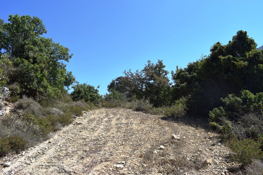 Οικόπεδο 11.000 τ.μ. πρός πώληση, Ν. Ρεθύμνου, Ρέθυμνο