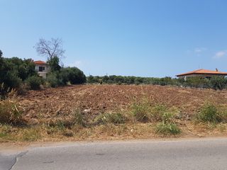 Οικόπεδο 3.000 τ.μ. προς πώληση