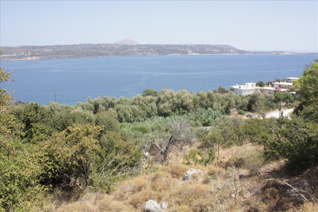 Οικόπεδο 13.680 τ.μ. προς πώληση, Μαλάξα