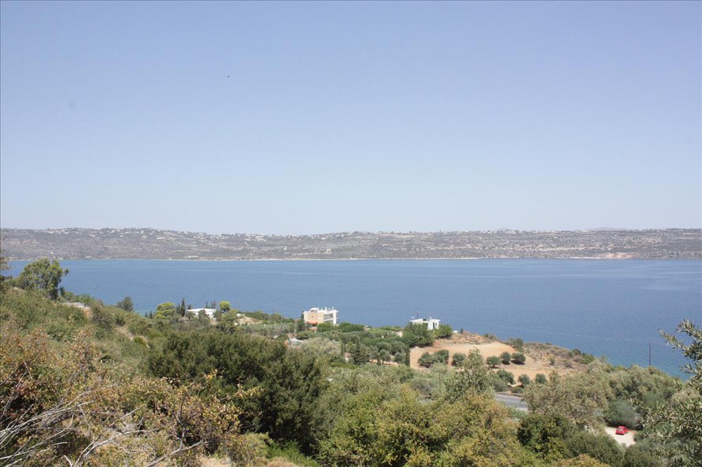 Οικόπεδο 13.680 τ.μ. προς πώληση, Μαλάξα