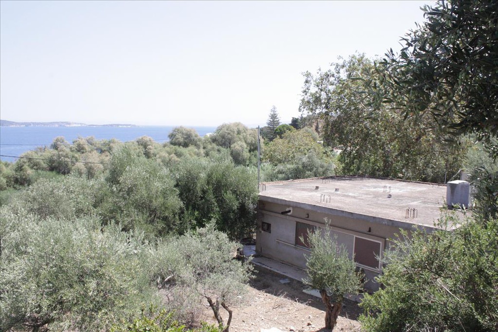 Οικόπεδο 13.680 τ.μ. προς πώληση, Μαλάξα