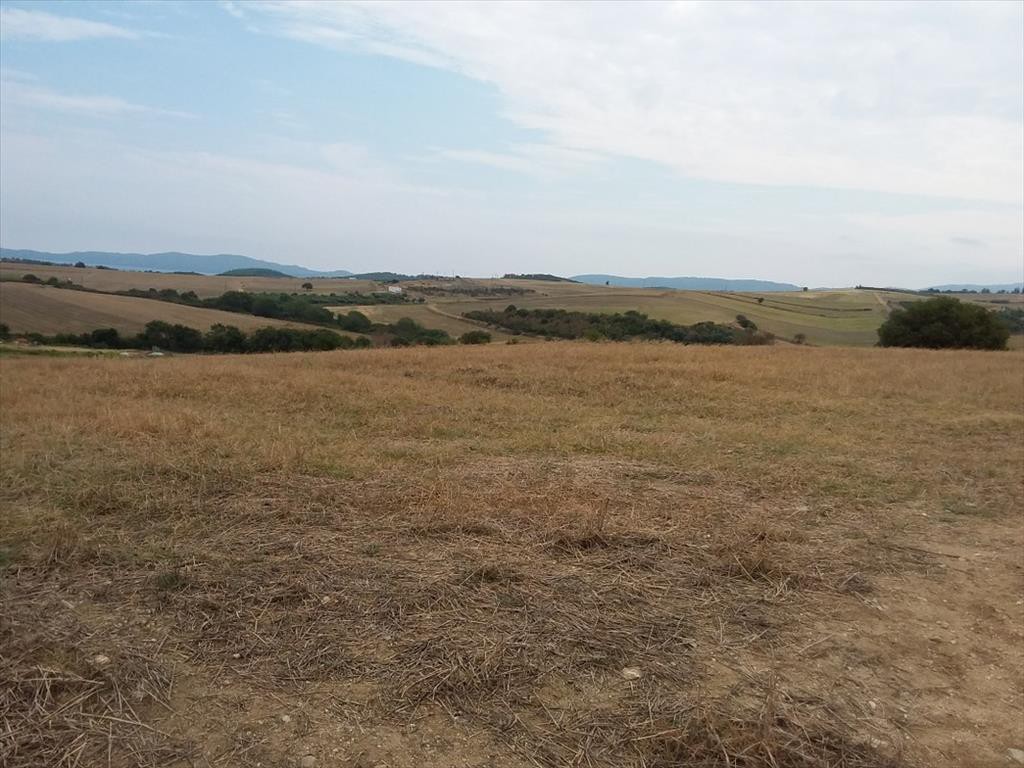 Οικόπεδο 13.000 τ.μ. προς πώληση, Τρυπητή Χαλκιδικής