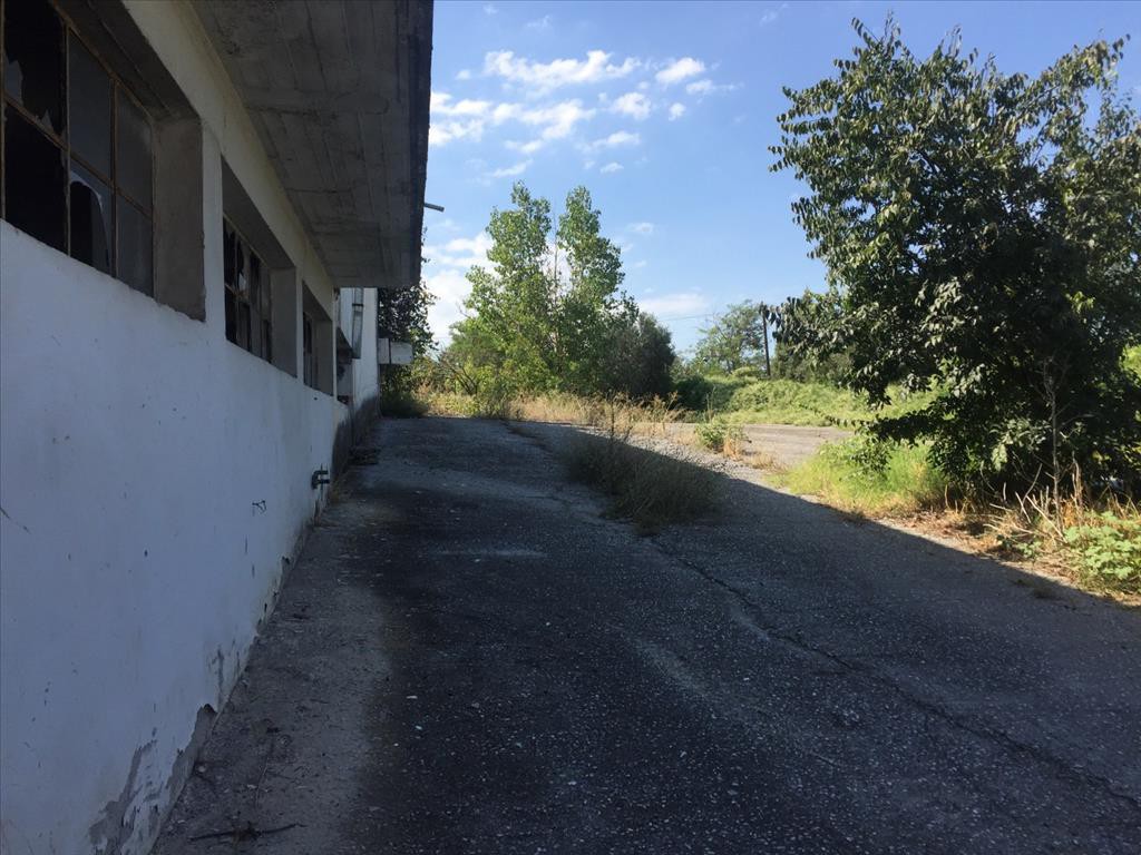 Επιχειρηματικό κτίριο 1.050 τ.μ. προς πώληση, Θεσσαλονίκη - Περιφ/Κοί Δήμοι, Πυλαία