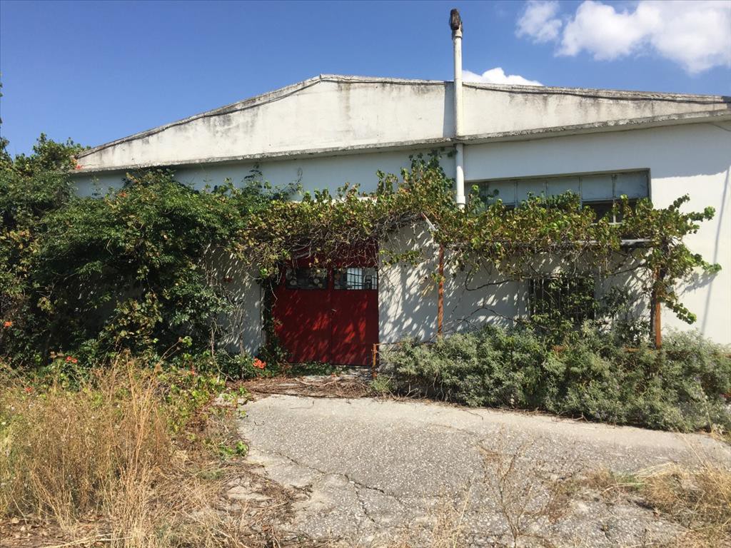 Επιχειρηματικό κτίριο 1.050 τ.μ. προς πώληση, Θεσσαλονίκη - Περιφ/Κοί Δήμοι, Πυλαία