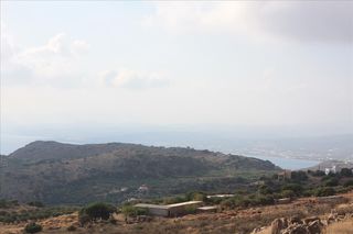 Οικόπεδο 25.000 τ.μ. προς πώληση, Αφράτα-thumb-1