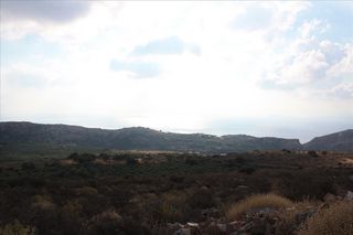 Οικόπεδο 25.000 τ.μ. προς πώληση, Αφράτα-thumb-11