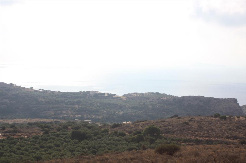 Οικόπεδο 25.000 τ.μ. προς πώληση, Αφράτα