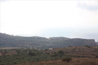 Οικόπεδο 25.000 τ.μ. προς πώληση, Αφράτα-thumb-4