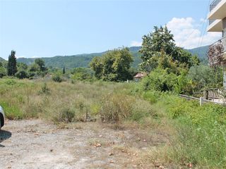 Οικόπεδο 4.600 τ.μ. προς πώληση, Πλαταμώνας Βεργίνας-thumb-1