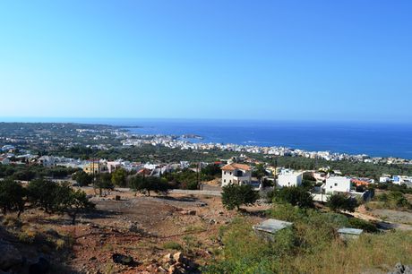 Οικόπεδο 10.000 τ.μ. για πώληση