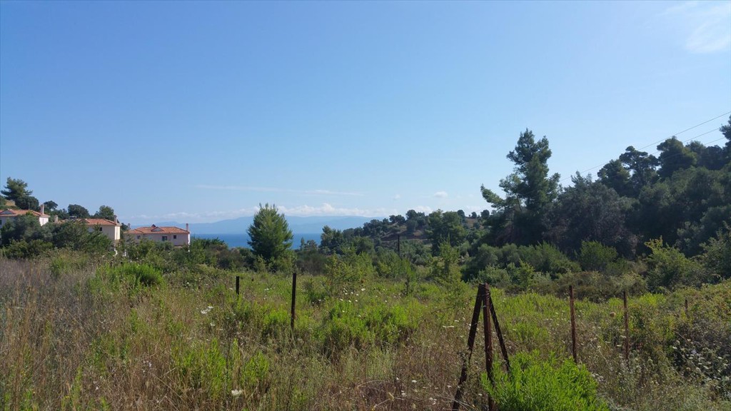 Οικόπεδο 9.000 τ.μ. προς πώληση, Παλιούρι Παλλήνης