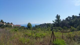 Οικόπεδο 9.000 τ.μ. για πώληση