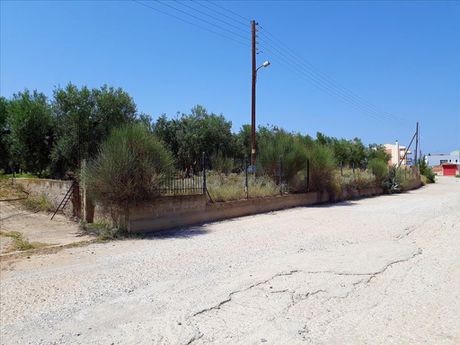 Land plot 800 sqm for sale