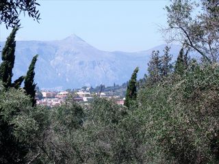 Οικόπεδο 2.750 τ.μ. για πώληση