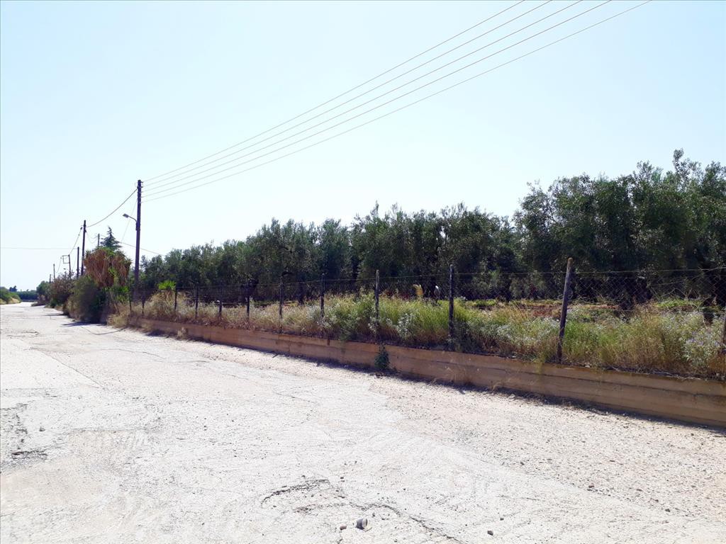 Οικόπεδο 6.400 τ.μ. προς πώληση, Καλύβες Πολυγύρου