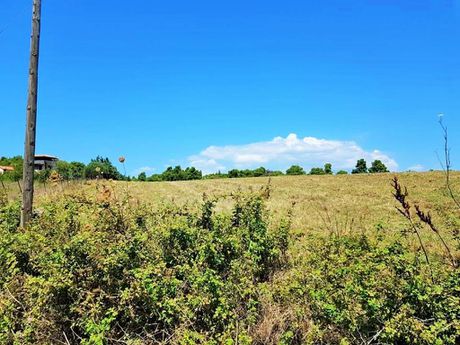 Οικόπεδο 8.000τ.μ. για πώληση-Κασσάνδρα » Φυλακές κασσάνδρας