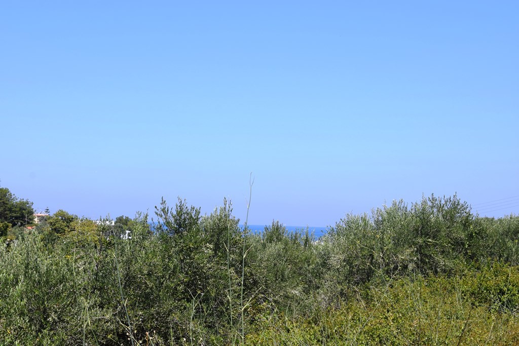 Οικόπεδο 5.500 τ.μ. πρός πώληση, Ν. Ρεθύμνου, Αρκάδι