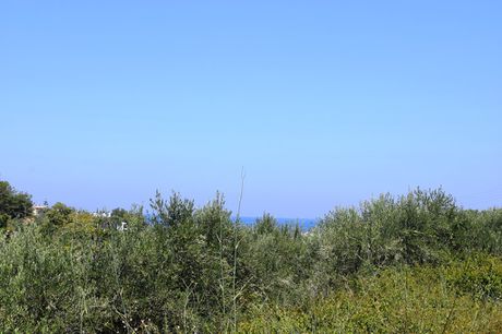 Οικόπεδο 5.500 τ.μ. πρός πώληση