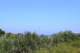 Οικόπεδο 5.500 τ.μ. για πώληση