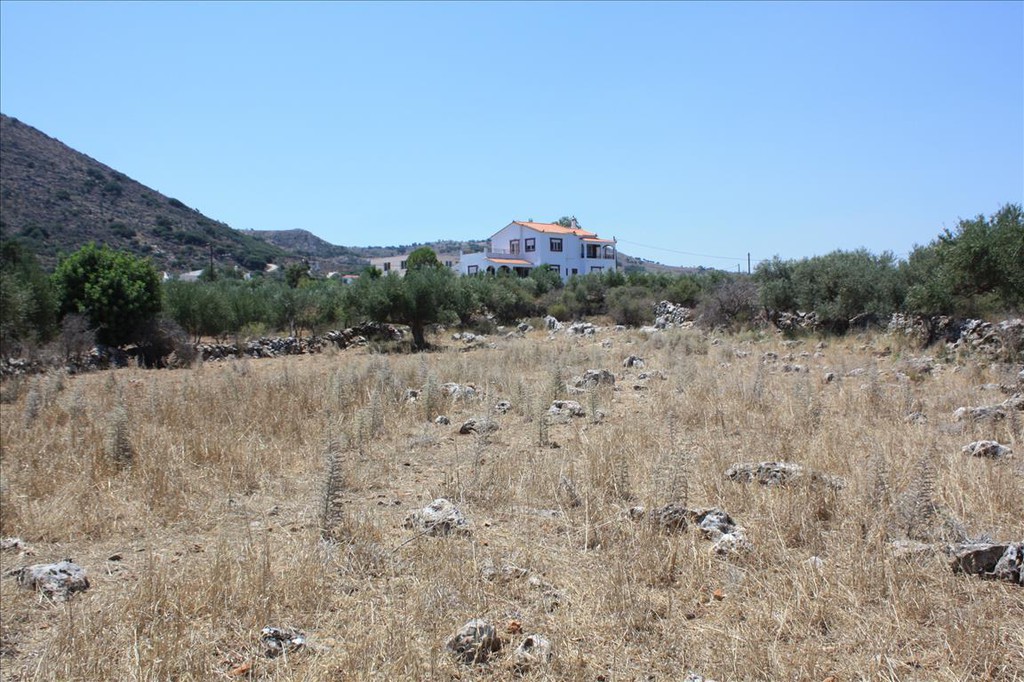 Οικόπεδο 4.000 τ.μ. προς πώληση, Καμπιά Βάμου