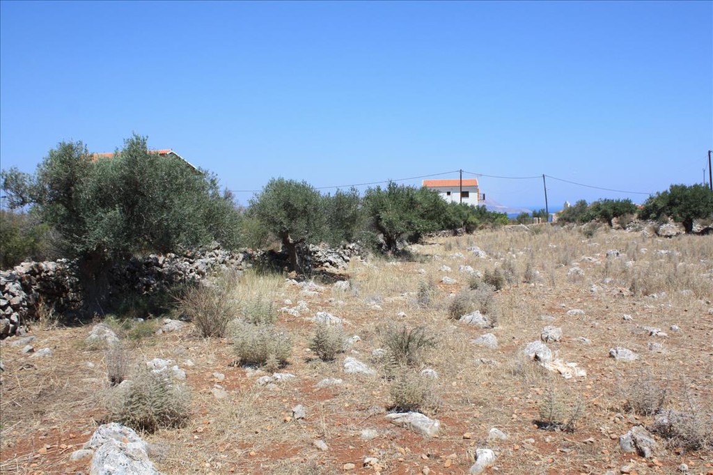 Οικόπεδο 4.000 τ.μ. προς πώληση, Καμπιά Βάμου