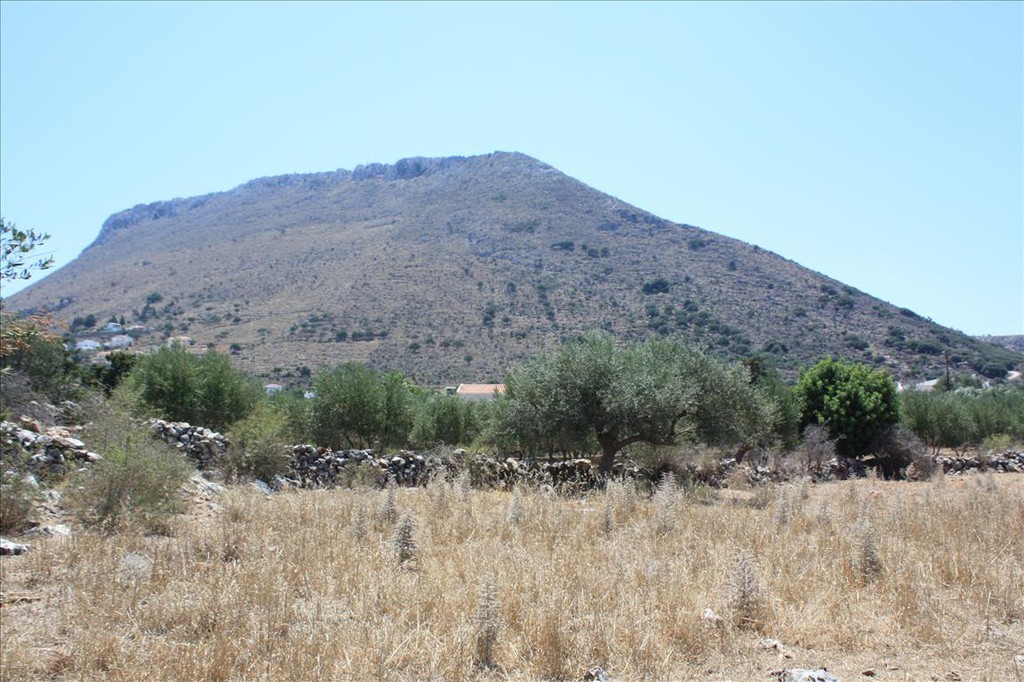 Οικόπεδο 4.000 τ.μ. προς πώληση, Καμπιά Βάμου