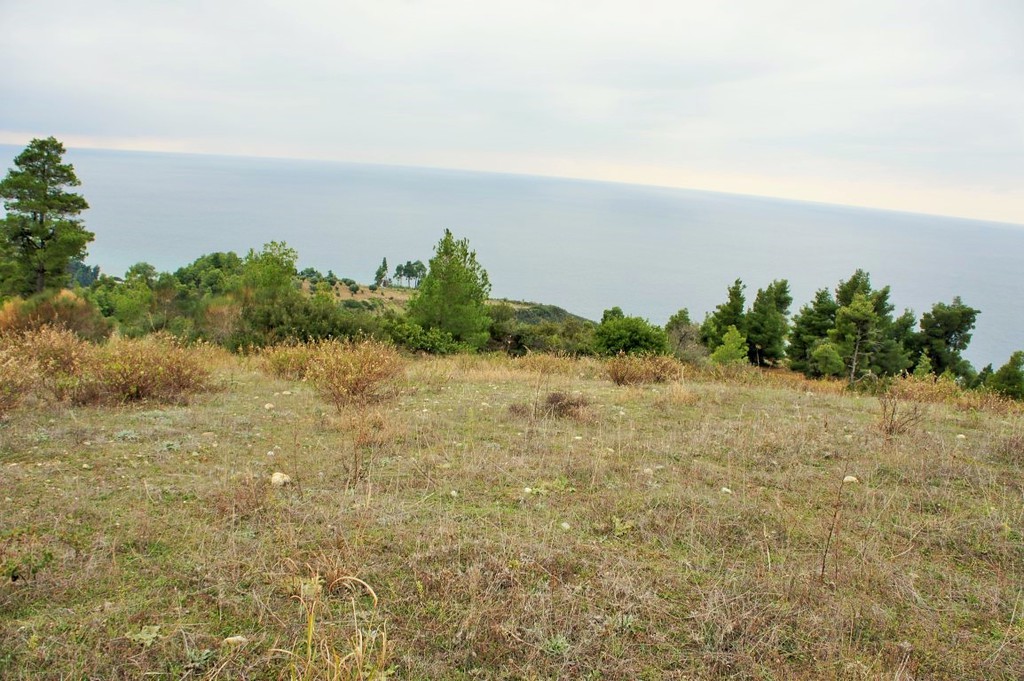 Οικόπεδο 55.000 τ.μ. προς πώληση, Νέα Σκιώνη