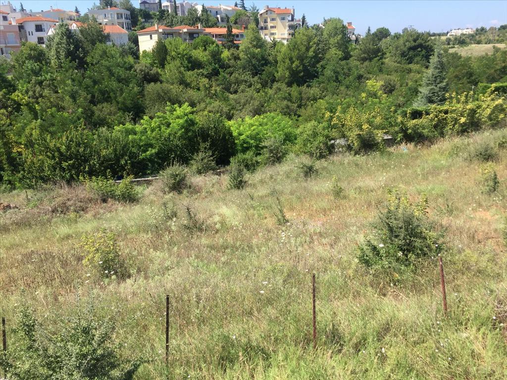 Οικόπεδο 2.500 τ.μ. προς πώληση, Θεσσαλονίκη - Περιφ/Κοί Δήμοι, Πυλαία