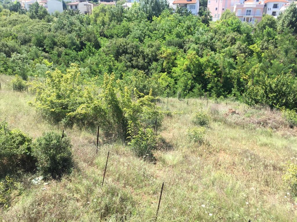 Οικόπεδο 2.500 τ.μ. προς πώληση, Θεσσαλονίκη - Περιφ/Κοί Δήμοι, Πυλαία