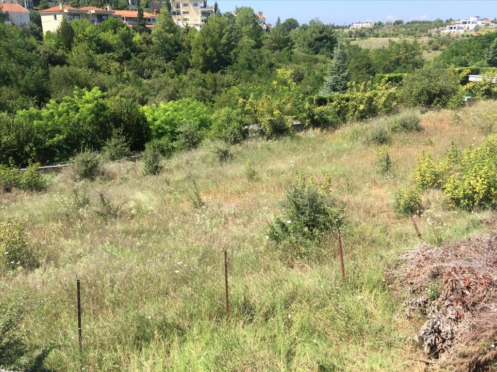 Οικόπεδο 2.500 τ.μ. προς πώληση, Θεσσαλονίκη - Περιφ/Κοί Δήμοι, Πυλαία
