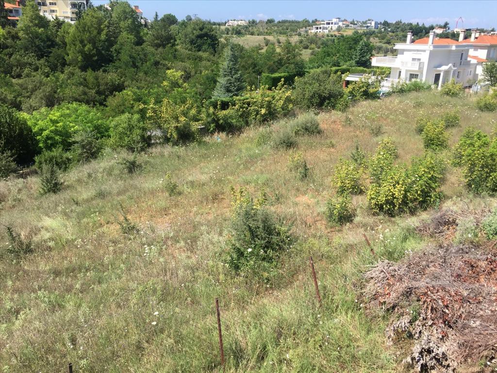 Οικόπεδο 2.500 τ.μ. προς πώληση, Θεσσαλονίκη - Περιφ/Κοί Δήμοι, Πυλαία