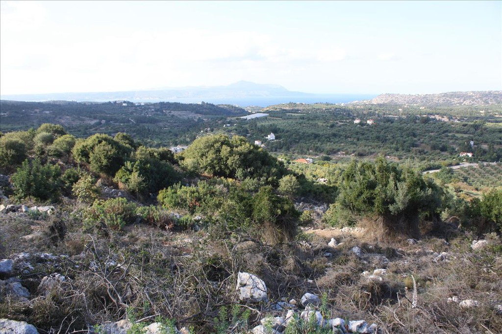 Οικόπεδο 11.842 τ.μ. προς πώληση, Κέντρο Βάμου