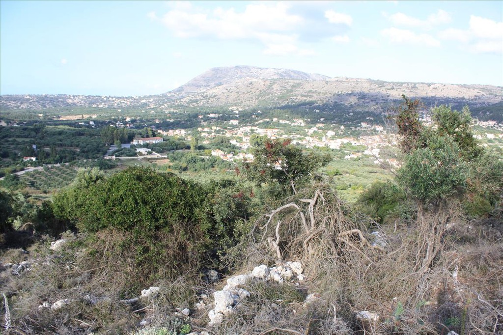 Οικόπεδο 11.842 τ.μ. προς πώληση, Κέντρο Βάμου