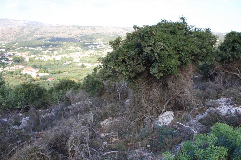 Οικόπεδο 11.842 τ.μ. προς πώληση, Κέντρο Βάμου