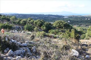 Οικόπεδο 11.842 τ.μ. για πώληση